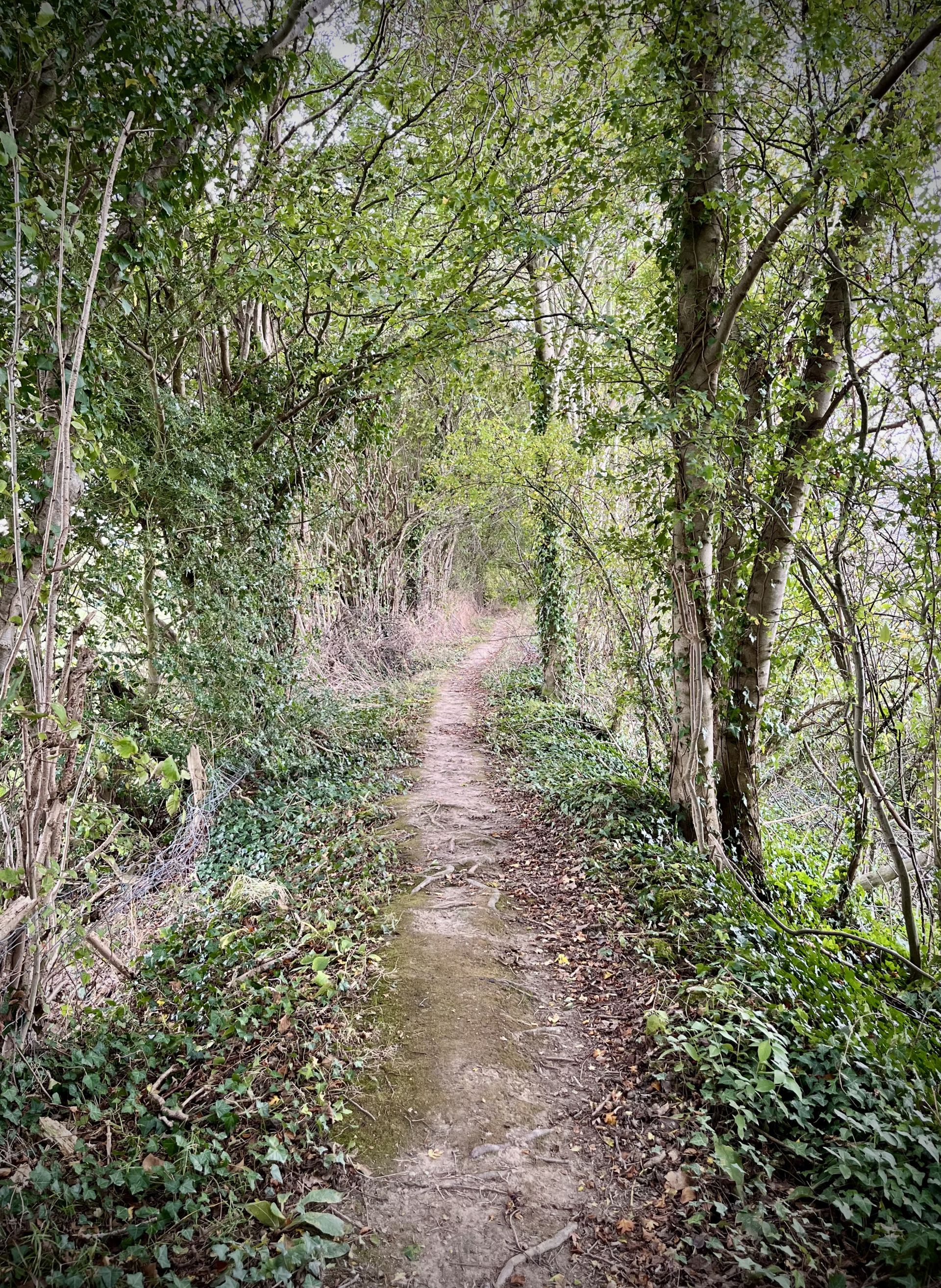 Offas Dyke Path